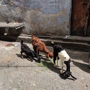 IMG_20190713_101509.jpg